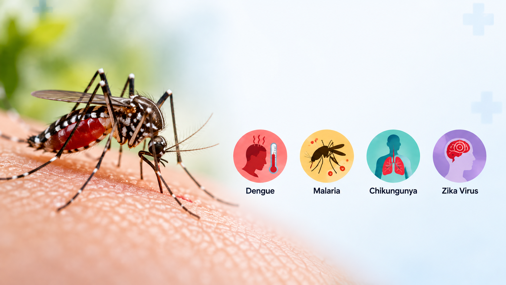 Monsoon Health: How to Prevent Mosquito-Borne Diseases and Support Your Immunity Monsoon Health: How to Prevent Mosquito-Borne Diseases and Support Your Immunity